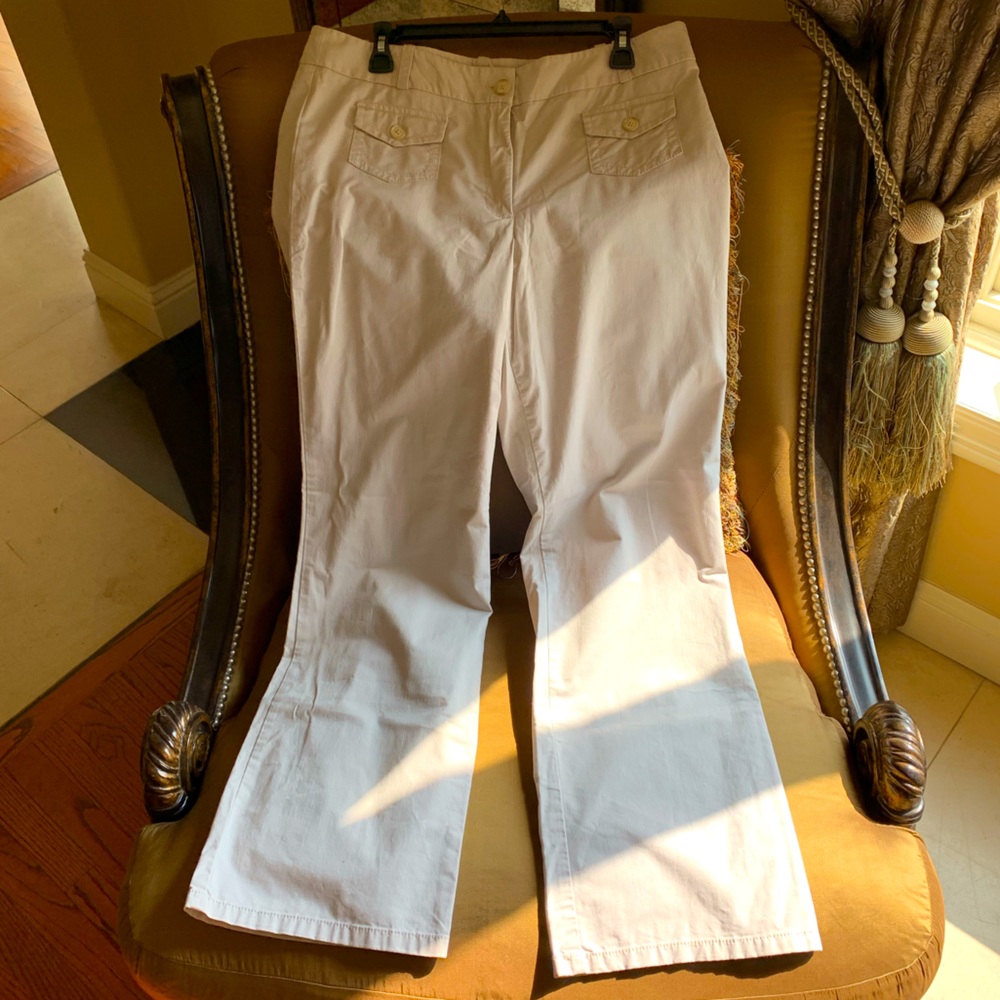 Ann Taylor Khakis